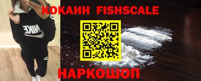 крисы Шебекино
