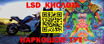 крисы Шебекино
