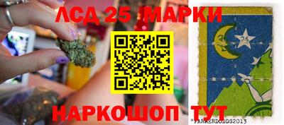 крисы Шебекино