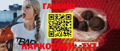 крисы Шебекино