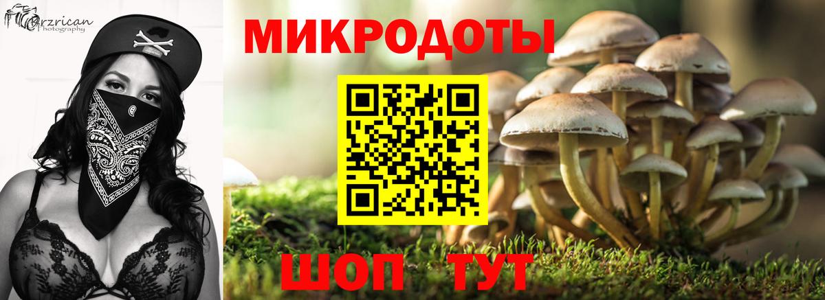 Псилоцибиновые грибы прущие грибы Борзя